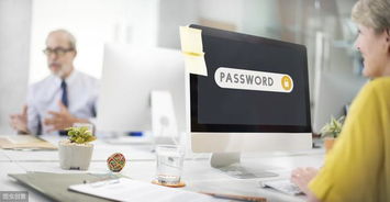 構建創新商標品牌與高效信息系統運維服務的雙輪驅動戰略